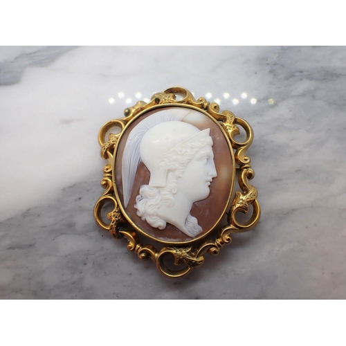 183 - A carved shell Cameo Brooch of Greek God Ares in scrolled yellow metal frame, 55mm x 68mm