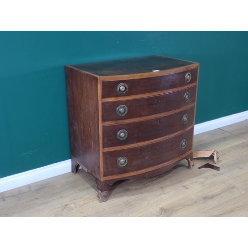 34 - A 19th Century mahogany Bow Front Chest of four long graduated Drawers, with brass ring handles and ... 