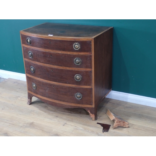 34 - A 19th Century mahogany Bow Front Chest of four long graduated Drawers, with brass ring handles and ... 