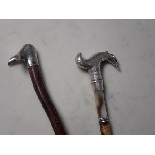 246 - A silver and mother of pearl handled Walking Cane, and another Walking Stick with white metal mount ... 