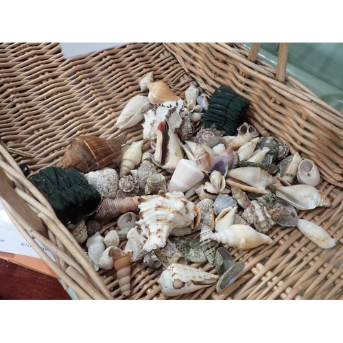 248 - A Wicker Basket of assorted Sea Shells and  a large piece of Brain Coral.