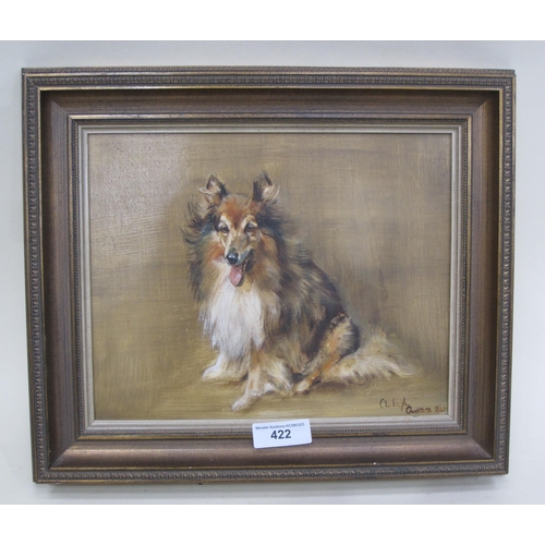 422 - CLODAGH CRAVOS. Study of a Sheltie Collie Dog, signed and dated 1984, oil on board, 10 x 12in