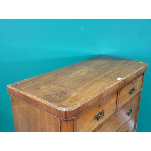 45 - A 19th Century mahogany Chest of two short and three long Drawers on bun feet, 4ft High x 3ft 11