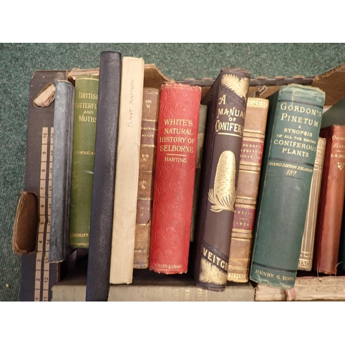 1080 - Box of Natural History, WHITE'S Selborne Ferns, Rhodedendrons, KNIGHT'S Horticultural Pages, etc