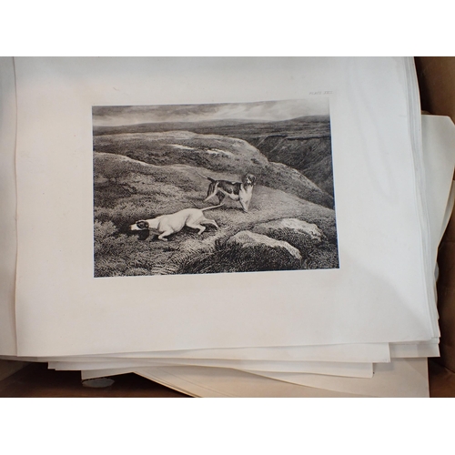 1092 - Box of engraved Prints from Arkwright's The Pointer, assorted spare plates; (box)