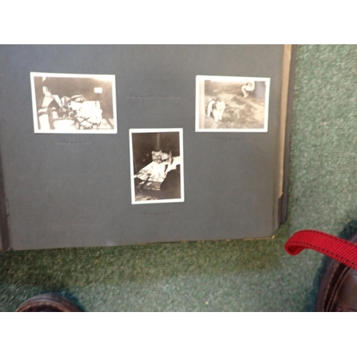 1102 - Photograph Albums, Eccles family and others