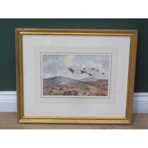 1146 - ROBERT W. MILLIKEN (1920-2014). A Covey of Grouse in a Moorland Landscape, watercolour, signed, 7 x ... 