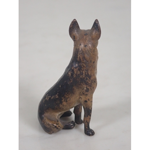 1354 - A cold painted bronze seated German Shepherd, 2 1/2