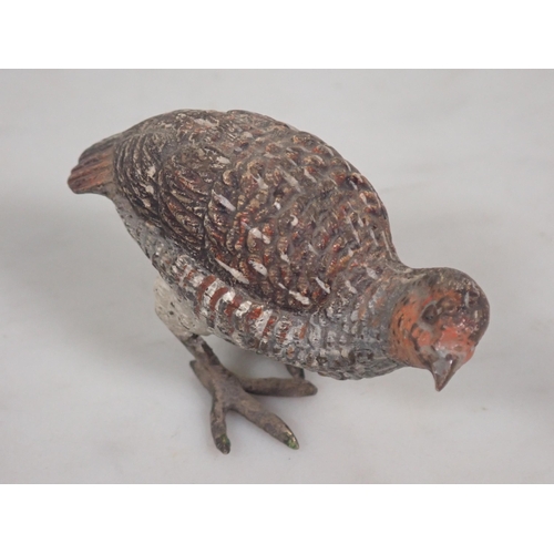 1355 - A cold painted bronze English Partridge, indistinctly signed underneath. 1 1/2