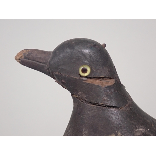 1358 - An antique wooden painted full bodied Pigeon Decoy with carved beak and inset glass eyes (A/F), 5 1/... 