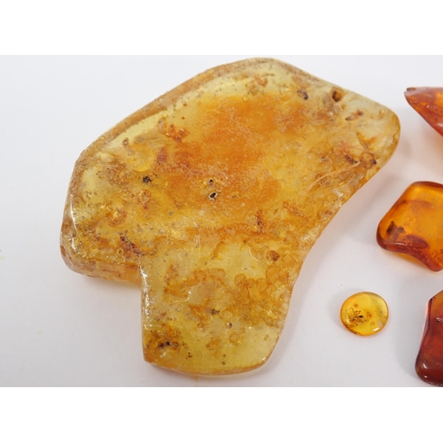 1391 - Six pieces of Baltic Amber with insect inclusions, c.45 million years BP Oligocene Period