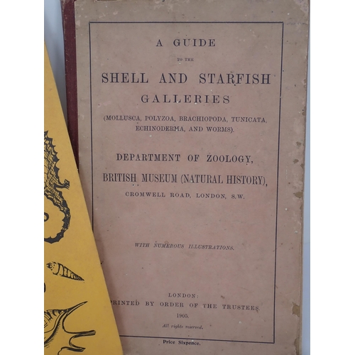 1396 - Adams, H.G., 'Beautiful Shells, their nature structure and uses', 1858 (lacking binding), Department... 