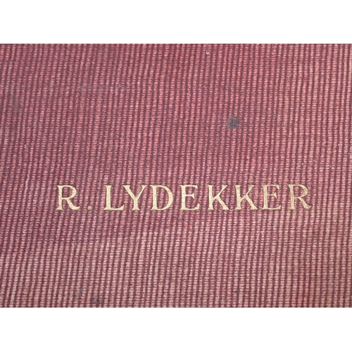 1413 - LYDEKKER, R., 'The Game Animals of Africa', Rowland Ward Limited, 1908, MORRIS, P.A., 'Rowland Ward,... 