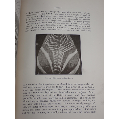 1413 - LYDEKKER, R., 'The Game Animals of Africa', Rowland Ward Limited, 1908, MORRIS, P.A., 'Rowland Ward,... 