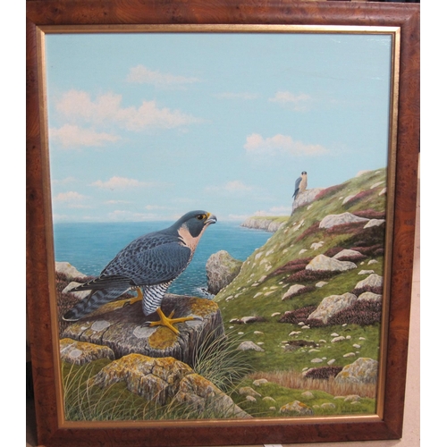 1470 - STEVEN JAREMKO - Pair of Peregrine Falcons in Coastal Cliff Landscape, oil on board, signed and date... 