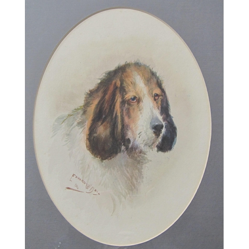 1471 - EDWARD W. BALL - Portrait Study of an Otterhound, watercolour, signed and dated 1924, 11 x 8in, oval... 