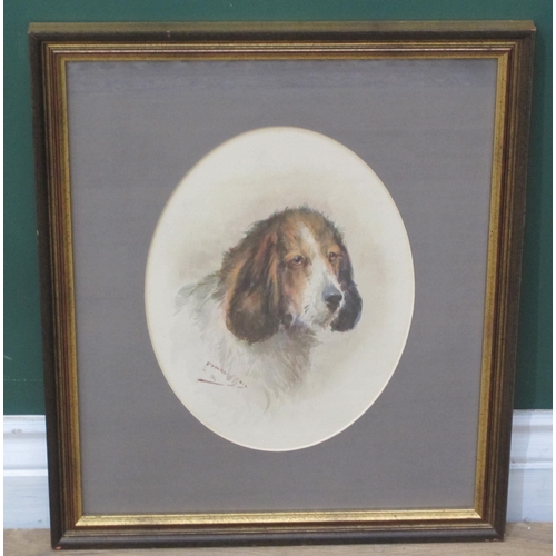 1471 - EDWARD W. BALL - Portrait Study of an Otterhound, watercolour, signed and dated 1924, 11 x 8in, oval... 