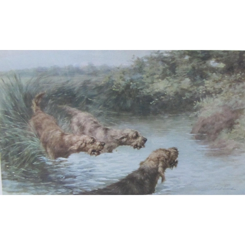 1471 - EDWARD W. BALL - Portrait Study of an Otterhound, watercolour, signed and dated 1924, 11 x 8in, oval... 