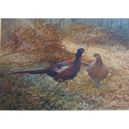 1472 - BERRISFORD HILL. Cock and Hen Pheasant in a Woodland Clearing, watercolour, signed, 9½ x 13½in, and ... 