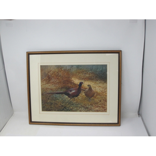 1472 - BERRISFORD HILL. Cock and Hen Pheasant in a Woodland Clearing, watercolour, signed, 9½ x 13½in, and ... 