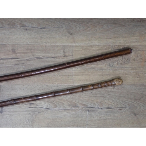 1402 - An antique bamboo Otter Hunting Staff 5ft L and a hazel Otter Hunting Staff 5ft 7in L, both with not... 