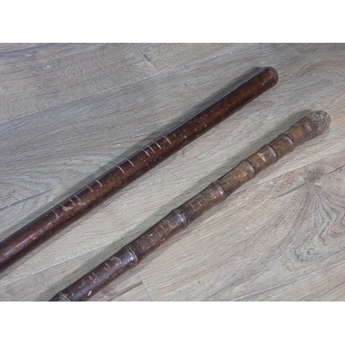 1402 - An antique bamboo Otter Hunting Staff 5ft L and a hazel Otter Hunting Staff 5ft 7in L, both with not... 