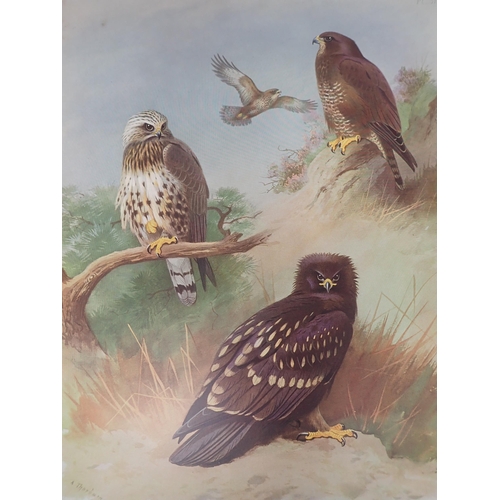 1009 - THORBURN, ARCHIBALD; British Birds, 4 Volumes, published by Longmans, Green & Co. 1915