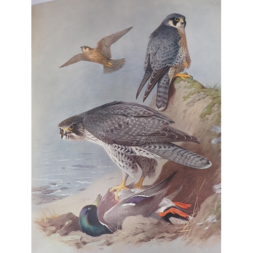 1009 - THORBURN, ARCHIBALD; British Birds, 4 Volumes, published by Longmans, Green & Co. 1915