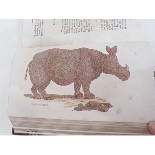 1028 - BRIGHTLY & Co, publisher, The Natural History of Quadrupeds and Cetaceous Animals from the works of ... 