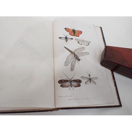 1038 - KIRBY William, An Introduction to Entomology or Elements of the Natural History of Insects, coloured... 