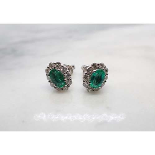 179 - A pair of Emerald and Diamond Cluster Earrings each claw-set oval-cut emerald within a frame of ten ... 