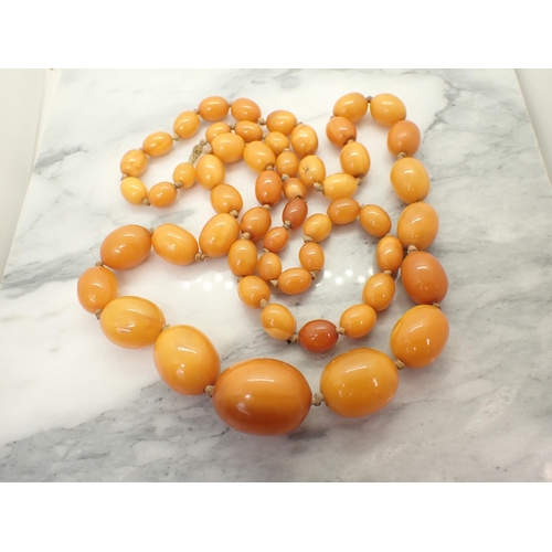 204 - A string of graduated natural Baltic Butterscotch Amber Beads, circa 1930,  approx 67gms, smallest 8... 