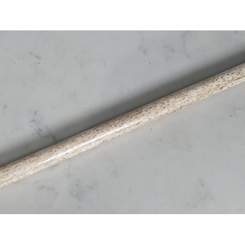 235 - A 19th Century Whalebone Walking Cane with shaped handle with two bands of decoration, 2ft 8