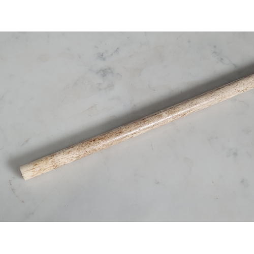 235 - A 19th Century Whalebone Walking Cane with shaped handle with two bands of decoration, 2ft 8