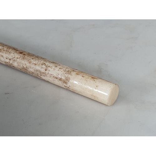 235 - A 19th Century Whalebone Walking Cane with shaped handle with two bands of decoration, 2ft 8