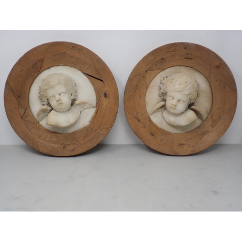 342 - A pair of circular carved white marble Heads of Angels, 7in diam, A/F, in wooden frames, 11in diam o... 