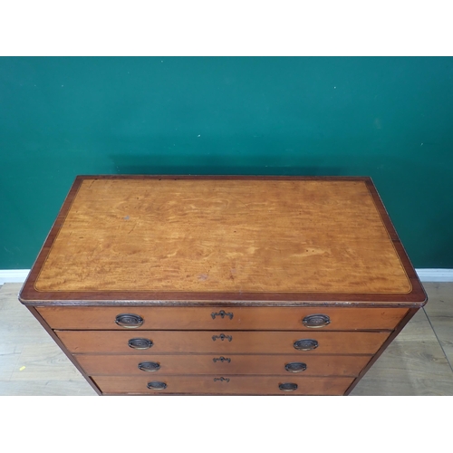 480 - A 19th Century satinwood Chest of four long graduated drawers, the top crossbanded in mahogany and r... 