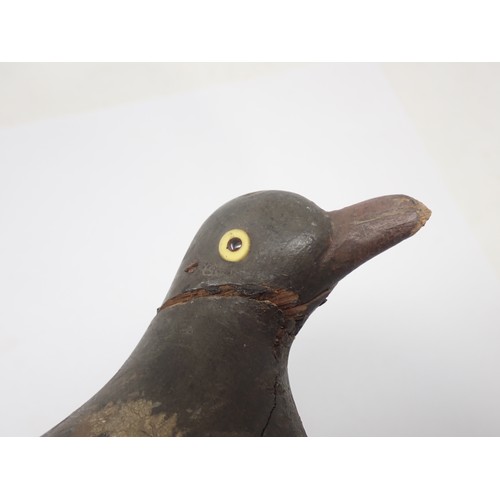 1358 - An antique wooden painted full bodied Pigeon Decoy with carved beak and inset glass eyes (A/F), 5 1/... 