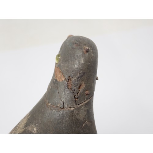 1358 - An antique wooden painted full bodied Pigeon Decoy with carved beak and inset glass eyes (A/F), 5 1/... 