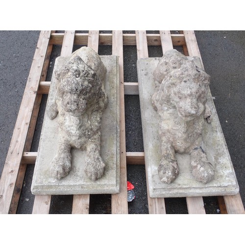 393 - A pair of reconstituted garden Lions, on separate rectangular bases, Lions A/F (Tails detached, One ... 