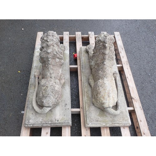 393 - A pair of reconstituted garden Lions, on separate rectangular bases, Lions A/F (Tails detached, One ... 