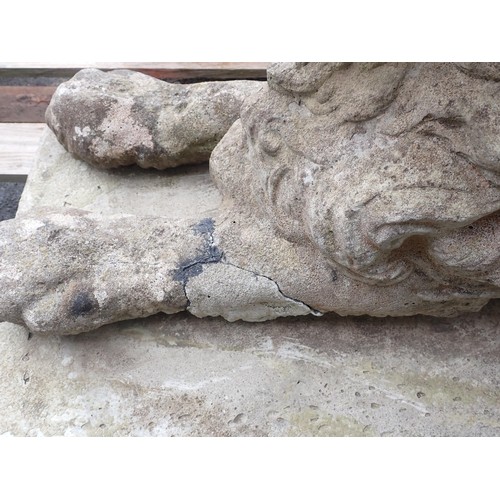 393 - A pair of reconstituted garden Lions, on separate rectangular bases, Lions A/F (Tails detached, One ... 