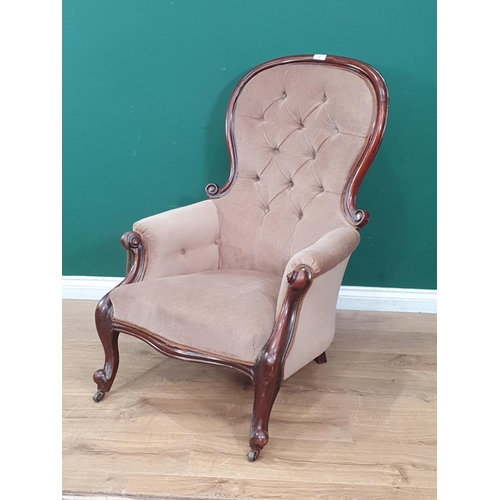 27 - A Victorian mahogany framed spoon back Armchair with fawn button upholstery on cabriole legs and cas... 