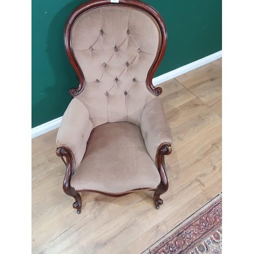 27 - A Victorian mahogany framed spoon back Armchair with fawn button upholstery on cabriole legs and cas... 