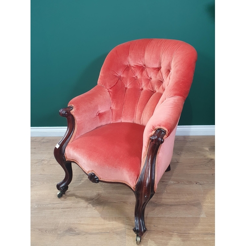 625 - A Victorian red button upholstered Armchair on mahogany scroll front supports 2ft 11in H x 2ft 2in W