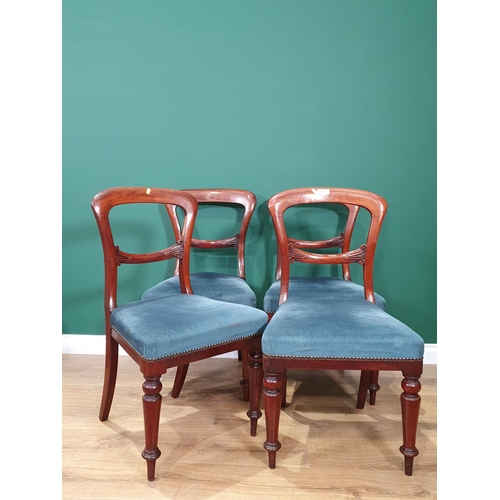 26 - A set of four Mahogany balloon back Dining Chairs with blue upholstered seats.