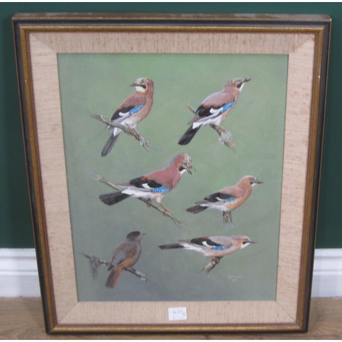 426 - RALPH WATERHOUSE. Arctic Tern; and Ringed Plover, signed, watercolour and gouache, 4½ x 6in; an oil ... 