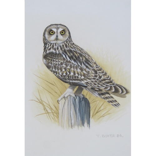 427 - TREVOR BOYER. Lapwing; Short-Eared Owl; Raven; Red Shank, signed, watercolours, 7 x 4½in; together w... 