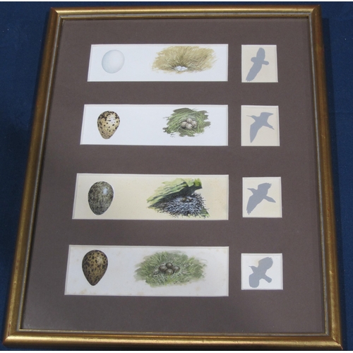 427 - TREVOR BOYER. Lapwing; Short-Eared Owl; Raven; Red Shank, signed, watercolours, 7 x 4½in; together w... 