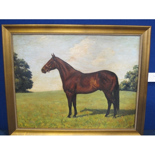 434 - A.G.DEAR. A racehorse in a meadow, indistinctly signed, oil on canvas board, 15½ x 20in